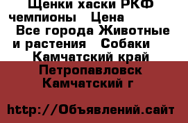 Щенки хаски РКФ чемпионы › Цена ­ 90 000 - Все города Животные и растения » Собаки   . Камчатский край,Петропавловск-Камчатский г.